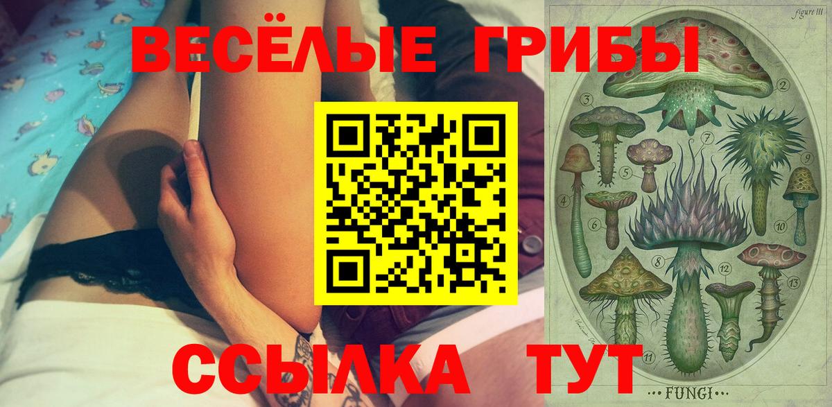 Куйбышев  даркнет сайт  Вход с VPN  Псилоцибиновые грибы GOLDEN TEACHER 