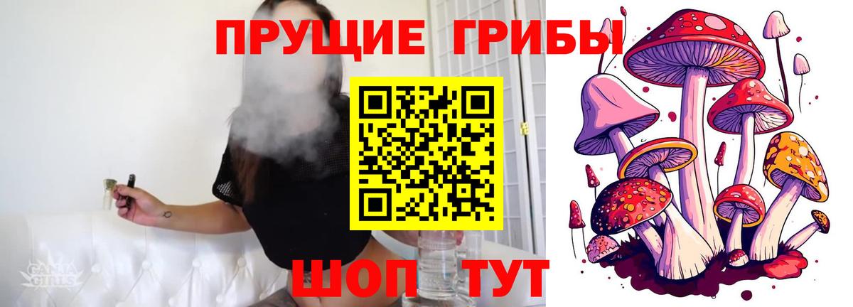 Галлюциногенные грибы мухоморы Куйбышев