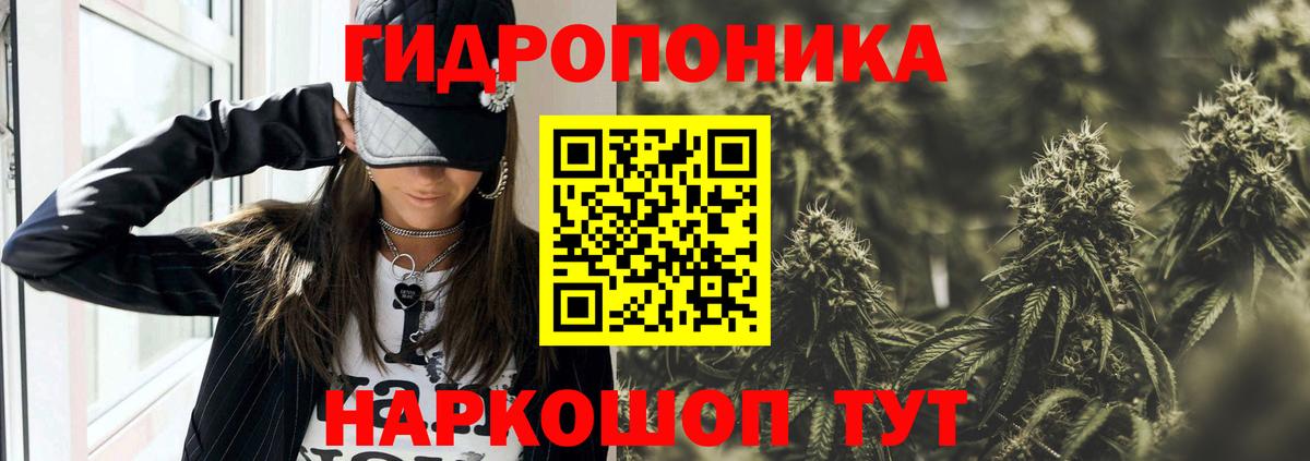 Шишки марихуана планчик Куйбышев